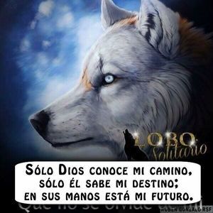 Meet your Posher, Pedro